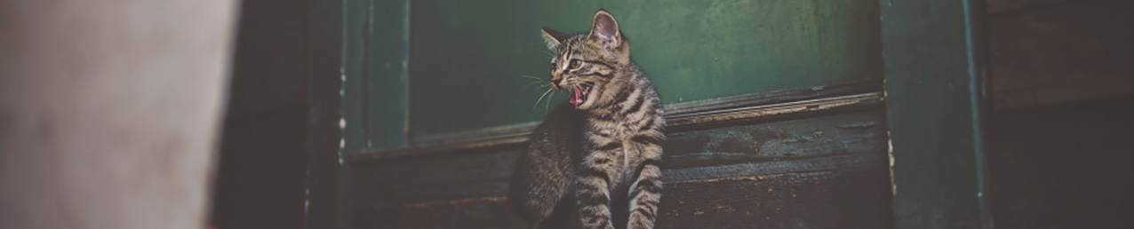 gravierter TEXT