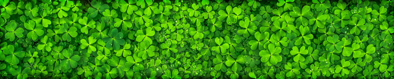 Artikel zum St. Patrick�s Day mit Gravur