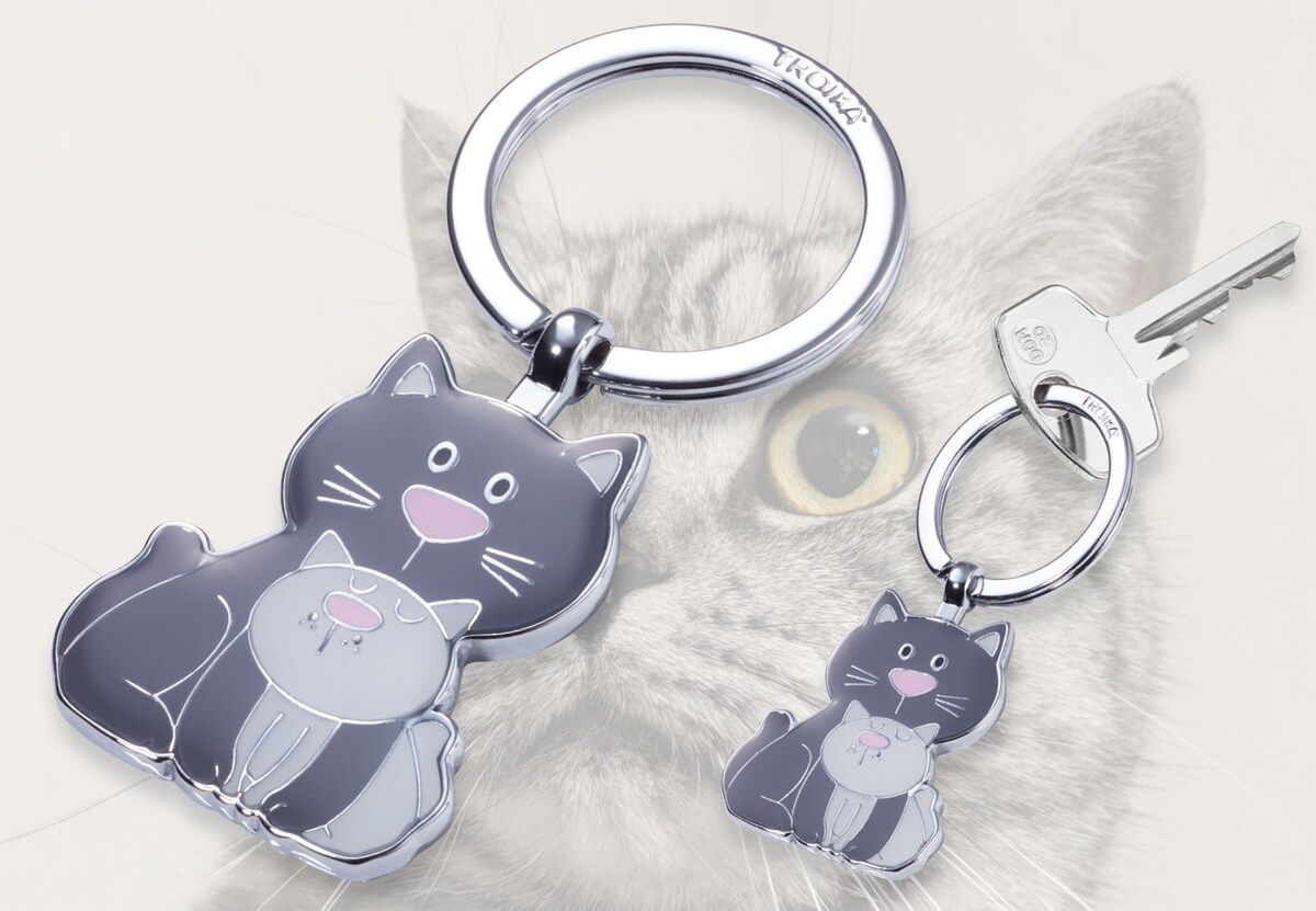 6 Stück Katzenhaar Schlüsselanhänger - Transparente Haarsammelflasche - Andenken An Haustiere