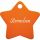 Hundemarke Stern orange